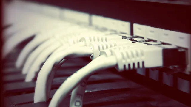 Network Administrator