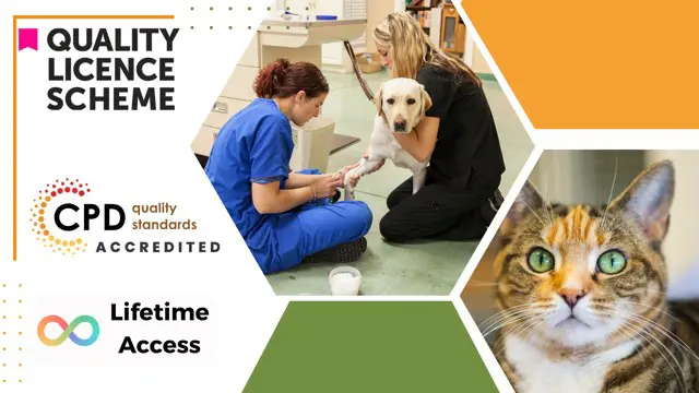 Level 5 Diploma in Animal Science - QLS Endorsed 