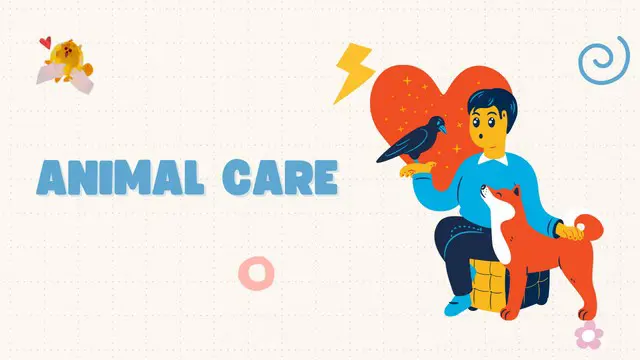 Animal Care Masterclass