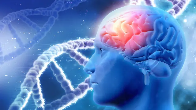 Neuroscience Level 3 Advanced Diploma